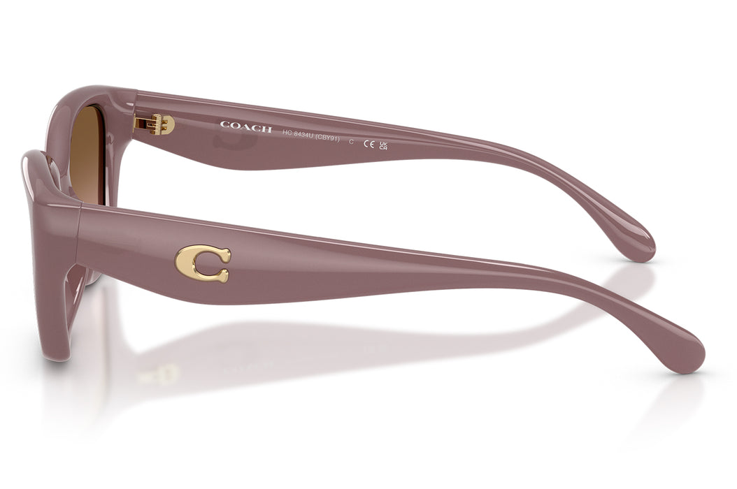 Vista2 - Gafas de Sol Coach 0HC8434U Mujer Color Café