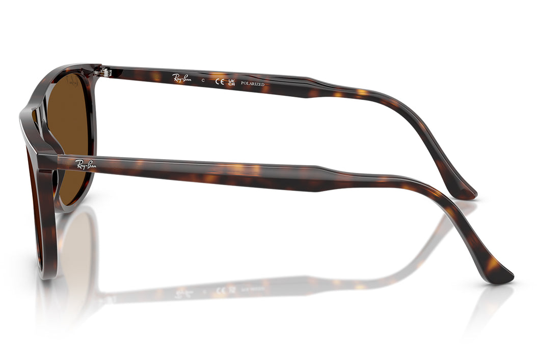 Vista3 - Gafas de Sol Ray Ban 0RB2216 Unisex Color Havana
