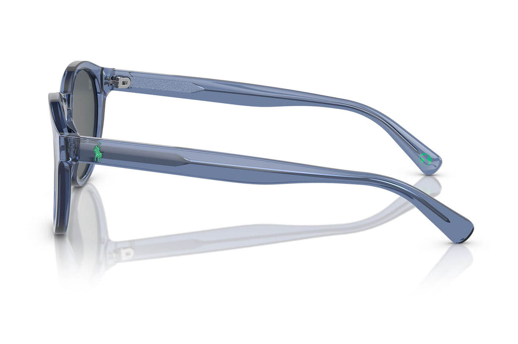 Vista2 - Gafas de Sol Polo Ralph Lauren 0PH4192 Unisex Color Transparente